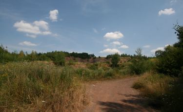 Dawny kamieniołom trachybazaltu (Fot. krystian) Dawny kamieniołom trachybazaltu (Fot. krystian)