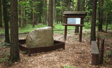 Głaz narzutowo-granitowy (Fot. krystian) Głaz narzutowo-granitowy (Fot. krystian)