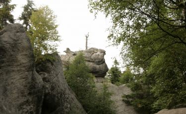 Kwoka (Fot. krystian) Kwoka (Fot. krystian)
