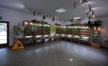 Muzeum Żaby (Fot. krystian) Muzeum Żaby (Fot. krystian)