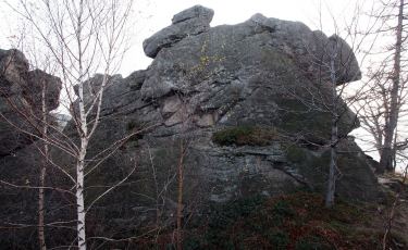 Nosorożec (Fot. aga) Nosorożec (Fot. aga)