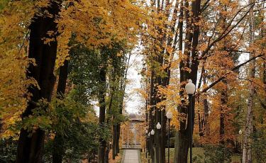 Park Zdrojowy (Fot. mateo) Park Zdrojowy (Fot. mateo)