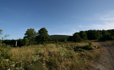 Przełęcz Walimska (Fot. krystian) Przełęcz Walimska (Fot. krystian)