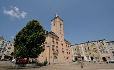 Radkowska lipa Goethego (Fot. krystian) Radkowska lipa Goethego (Fot. krystian)