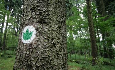 Symbol i oznaczenie ścieżki edukacyjnej (Fot. krystian) Symbol i oznaczenie ścieżki edukacyjnej (Fot. krystian)