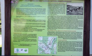Ściezka przyrodnicza "Szlak Natura 2000 Góry Kamienne - zachowaj bioróżnorodność" (Fot. aga) Ściezka przyrodnicza "Szlak Natura 2000 Góry Kamienne - zachowaj bioróżnorodność" (Fot. aga)