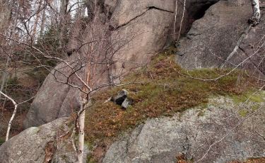 Skała z Dziobem (Fot. krystian) Skała z Dziobem (Fot. krystian)
