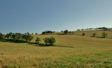 Tour de Głuszyca - okolica Sierpnicy i Rzeczki (Fot. krystian) Tour de Głuszyca - okolica Sierpnicy i Rzeczki (Fot. krystian)