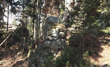 Trasa kuracyjna nr 5 im. cesarza Wilhelma I Hohenzollern (Fot. mateo) Trasa kuracyjna nr 5 im. cesarza Wilhelma I Hohenzollern (Fot. mateo)