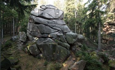 Żółw (Fot. krystian) Żółw (Fot. krystian)