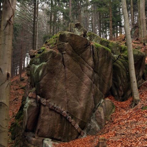 Aplitowa (Fot. krystian)