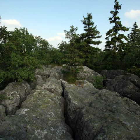 Błędne Skały (Fot. krystian)