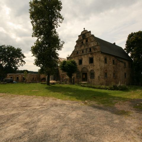 Ruiny zabudowań dworu w Maciejowcu.