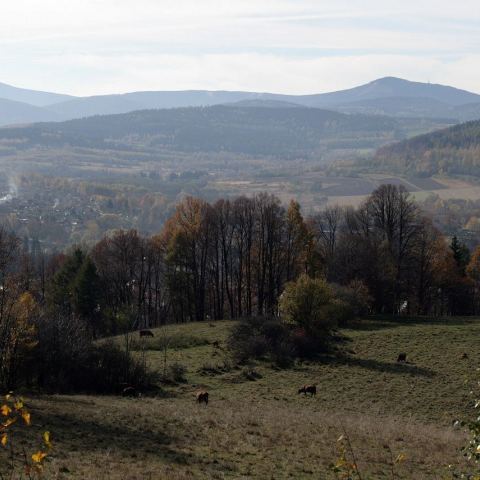 Góry złote (Fot. mateo)