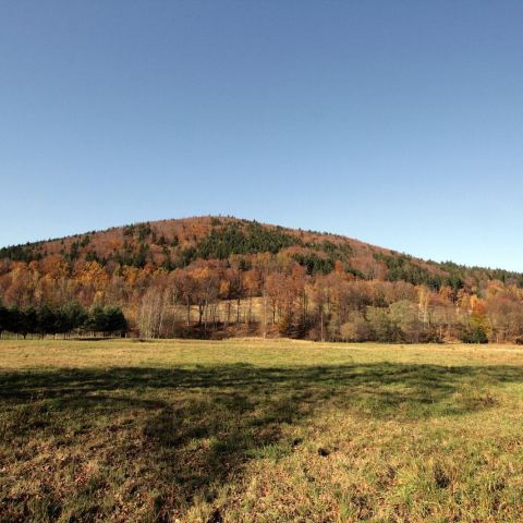 Góry złote (Fot. mateo)