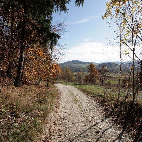 Góry złote (Fot. mateo)