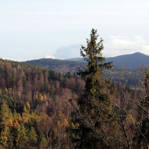 Góry złote (Fot. mateo)