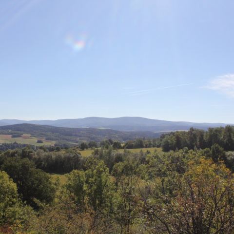 Lulandia (Fot. lulandia)