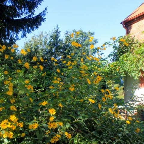 Lulandia (Fot. lulandia)