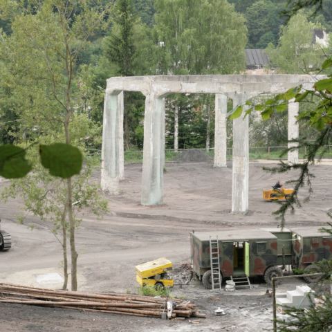 Muchołapka (Fot. krystian)