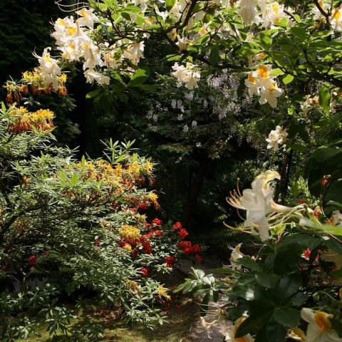 Ogród Japoński (Fot. krystian)