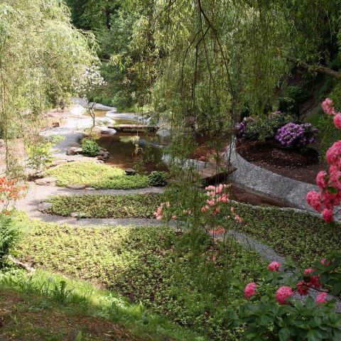 Ogród Japoński (Fot. krystian)