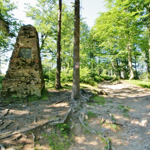 Widok na pomnik Carla Wiesena przy szlaku