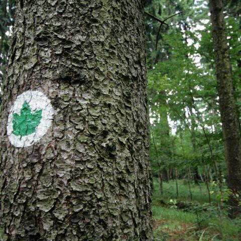 Symbol i oznaczenie ścieżki edukacyjnej (Fot. krystian)