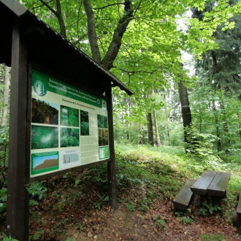 Ścieżka edukacyjna im. inż. Kazimierza Klimowicza (Fot. krystian)