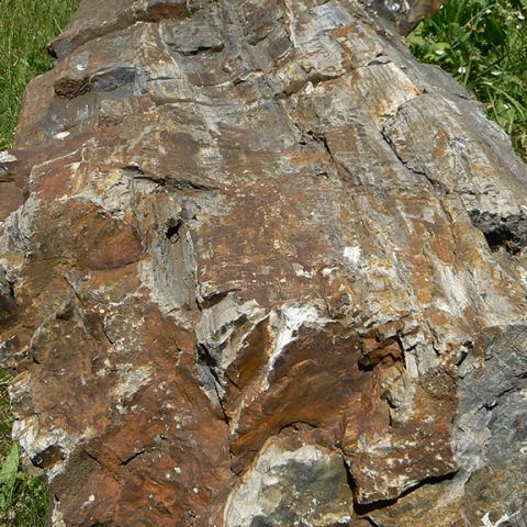 Światowej klasy okaz geologiczny z wałbrzyskiej kopalni (Fot. krystian)