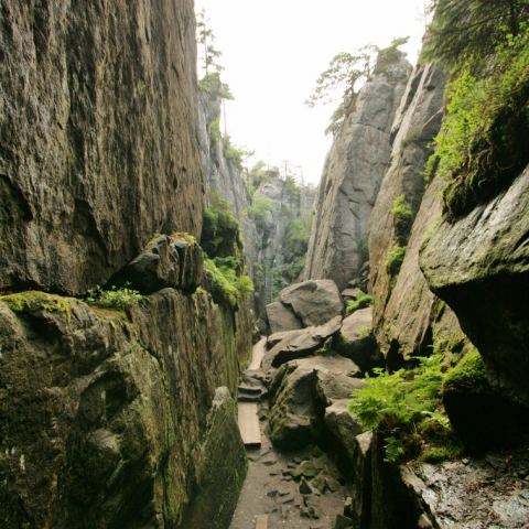 Szczeliniec Wielki  (Fot. krystian)