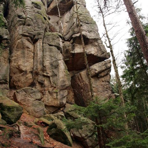 Widokowa - Szczytnik