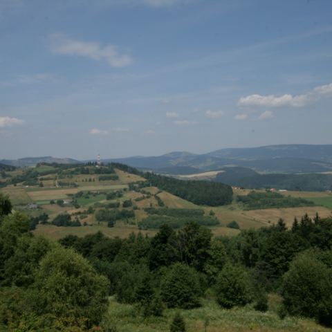 Wieża widokowa na Górze Wszystkich Świętych (Fot. krystian)
