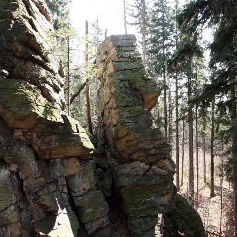 Wzgórze Trojak (766 m n.p.m.) (Fot. mateo)