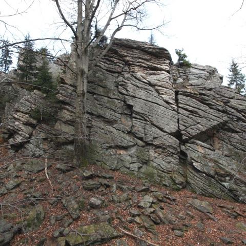 Wzgórze Trojak (766 m n.p.m.) (Fot. mateo)