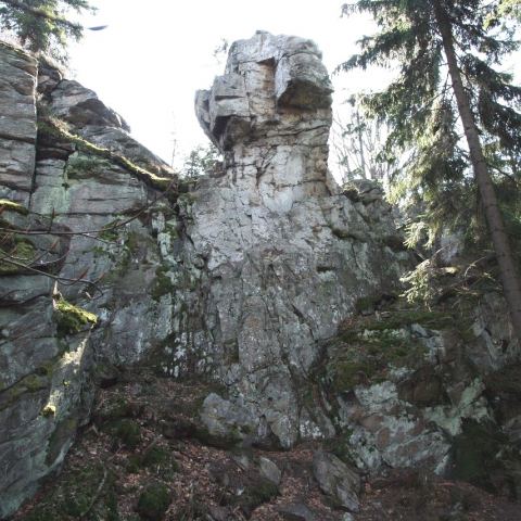 Wzgórze Trojak (766 m n.p.m.) (Fot. mateo)