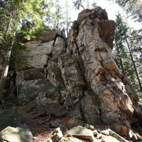 Wzgórze Trojak (766 m n.p.m.) (Fot. mateo)