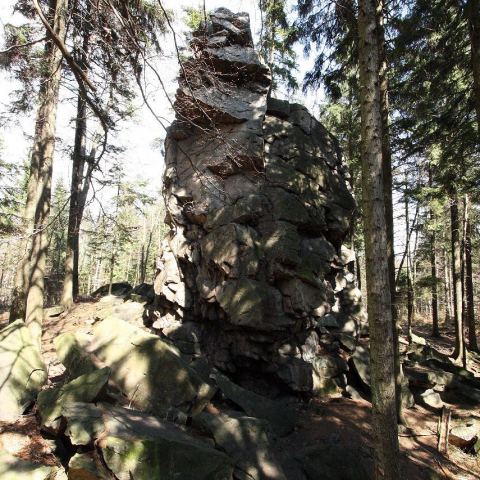 Wzgórze Trojak (766 m n.p.m.) (Fot. mateo)