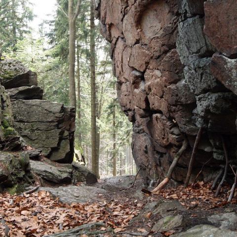 Wzgórze Trojak (766 m n.p.m.) (Fot. mateo)