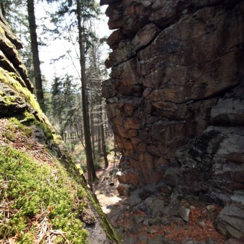 Wzgórze Trojak (766 m n.p.m.) (Fot. mateo)