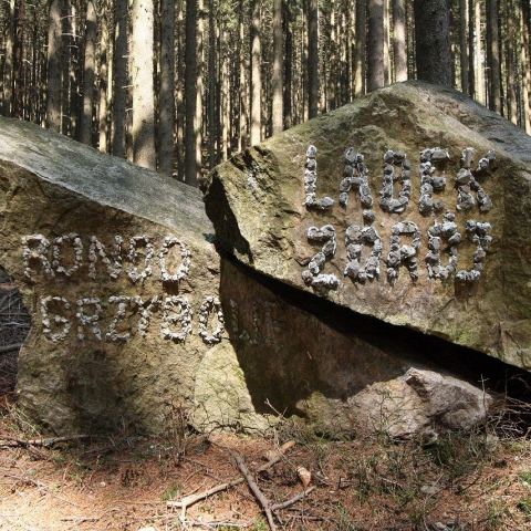 Wzgórze Trojak (766 m n.p.m.) (Fot. mateo)