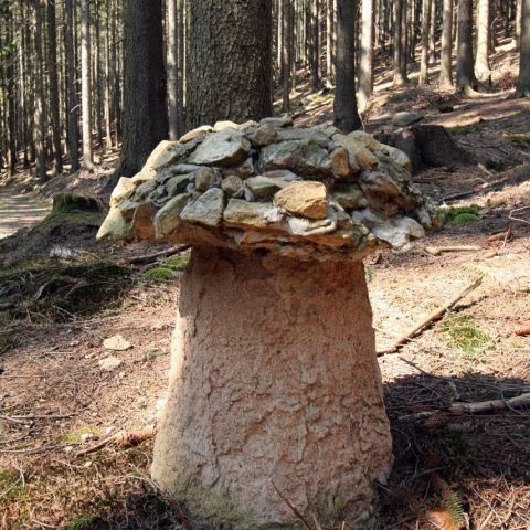 Wzgórze Trojak (766 m n.p.m.) (Fot. mateo)